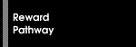Reward Pathway