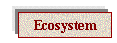 ES