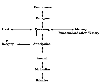 Sequence of Normal Mental Functioning