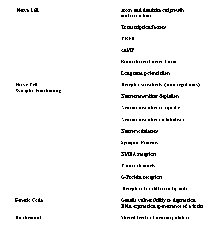 System Hierarchy of Factors3
