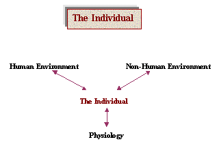 individual model